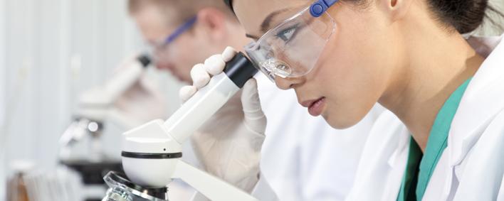 Actualité doctorale
